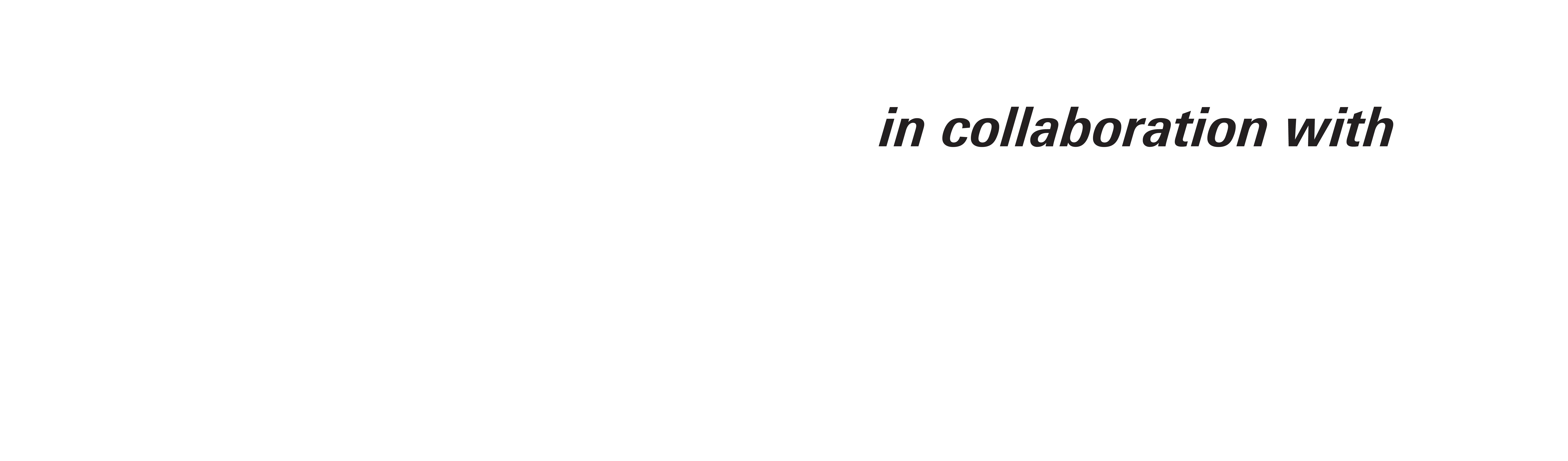 Dornbirn Global Fiber Conference
